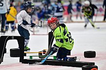 Eishockey, Herren, DEL, Saison 2023-2024, ERC Ingolstadt - Kids on Ice Day, 18.11.2023