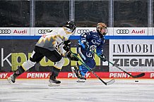 Eishockey, Frauen, DFEL, Saison 2024-2025, ERC Ingolstadt - Mad Dogs Mannheim, 23.11.2024