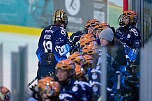 Eishockey, Frauen, DFEL, Saison 2024-2025, ERC Ingolstadt - ECDC Memmingen Indians, 19.01.2025