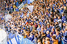 ERC Ingolstadt vs Augsburger Panther, Eishockey, DEL, Deutsche Eishockey Liga, Spieltag 21, 23.11.2016

