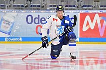Adler Mannheim vs ERC Ingolstadt, Eishockey, DEL, Deutsche Eishockey Liga, Spieltag 28, 16.12.2018