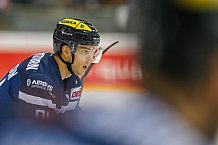 ERC Ingolstadt  - Grizzlys Wolfsburg, Eishockey, DEL, Deutsche Eishockey Liga, Spieltag 37, 13.01.2017