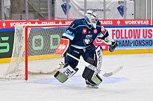 Hockey, Mens, CHL, Season 2025-2026, Regular Season, Round of 16, ERC Ingolstadt - EC Red Bull Salzburg, 12.11.2025