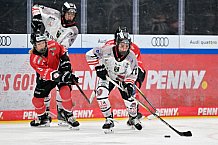 Eishockey, Frauen, EWHL Euro Cup, Saison 2025-2026, Finale, HK Budapest - ECDC Memmingen Indians, 19.10.2025