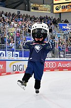 Eishockey, Herren, DEL, Saison 2024-2025, Spieltag 19, ERC Ingolstadt - Grizzlys Wolfsburg, 24.11.2024