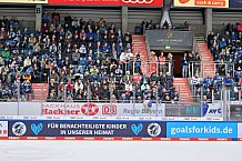 Eishockey, Herren, DEL, Saison 2023-2024, Spieltag 20, ERC Ingolstadt - Adler Mannheim, 19.11.2023