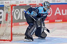 Eishockey, Herren, DEL, Saison 2022-2023, Playoff-Viertelfinale - Spiel 5, ERC Ingolstadt - Düsseldorfer EG, 24.03.2023