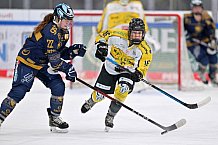 Eishockey, Frauen, DFEL, Saison 2022-2023, ERC Ingolstadt - Mad Dogs Mannheim, 19.11.2022