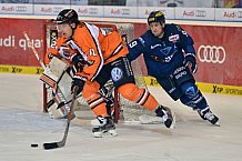 ERC Ingolstadt vs Grizzlys Wolfsburg, Eishockey, DEL, Deutsche Eishockey Liga, 31.01.2016