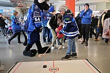 Eishockey, Herren, DEL, Saison 2023-2024, Spieltag 51, ERC Ingolstadt - Kölner Haie, 03.03.2024
