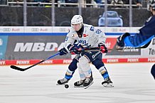 Eishockey, Herren, DEL, Saison 2024-2025, Spieltag 32, ERC Ingolstadt - Adler Mannheim, 30.12.2024