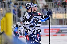 Eishockey, Herren, DEL, Saison 2024-2025, Spieltag 17, ERC Ingolstadt - Adler Mannheim, 17.11.2024
