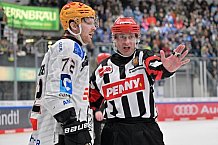 Eishockey, Herren, DEL, Saison 2023-2024, Spieltag 45, ERC Ingolstadt - Fischtown Pinguins, 27.02.2024