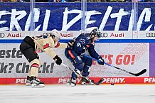 Eishockey, Herren, DEL, Saison 2024-2025, Spieltag 48, ERC Ingolstadt - Nürnberg Ice Tigers, 23.02.2025