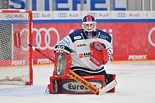 Eishockey, Herren, DEL, Saison 2023-2024, Spieltag 21, ERC Ingolstadt - Iserlohn Roosters, 23.11.2023