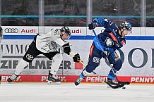 Eishockey, Herren, DEL, Saison 2024-2025, Spieltag 36, ERC Ingolstadt - Kölner Haie, 12.01.2025