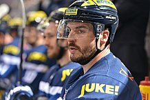 ERC Ingolstadt vs Fischtown Pinguins, Eishockey, DEL, Deutsche Eishockey Liga, Spieltag 32, 28.12.2016