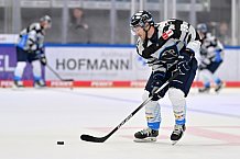 Eishockey, Herren, DEL, Saison 2024-2025, Vorbereitung, ERC Ingolstadt - Dresdner Eislöwen, 18.08.2024