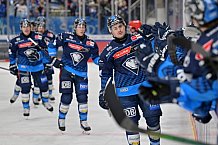 Eishockey, Herren, DEL, Saison 2024-2025, Spieltag 42, ERC Ingolstadt - Kölner Haie, 31.01.2025