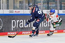 Eishockey, Herren, DEL, Saison 2024-2025, Spieltag 15, ERC Ingolstadt - Augsburger Panther, 03.11.2024