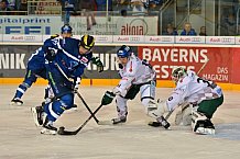 ERC Ingolstadt vs Augsburger Panther, Eishockey, DEL, Deutsche Eishockey Liga, Spieltag 21, 23.11.2016