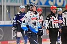 Eishockey, Herren, DEL, Saison 2024-2025, Vorbereitung, ERC Ingolstadt - Dresdner Eislöwen, 18.08.2024