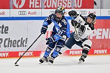 Eishockey, Frauen, DFEL, Saison 2023-2024, ERC Ingolstadt - Amsterdam Tigers, 06.01.2024