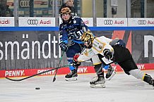 Eishockey, Frauen, DFEL, Saison 2024-2025, ERC Ingolstadt - Mad Dogs Mannheim, 23.11.2024