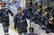 ERC Ingolstadt - Koelner Haie, Eishockey, DEL, Deutsche Eishockey Liga, Spieltag 16, 01.11.2015