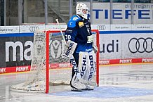 Eishockey, Herren, U20 DNL, Saison 2025-2026, ERC Ingolstadt - Krefeld Pinguine, 10.01.2026