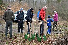 Eishockey, Herren, DEL, Saison 2023-2024, ERC Ingolstadt - Baumpflanzaktion, 02.03.2024