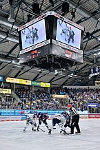 Eishockey, Herren, DEL, Saison 2024-2025, Spieltag 49, ERC Ingolstadt - Straubing Tigers, 28.02.2025