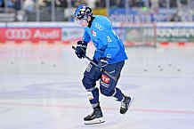 Eishockey, Herren, DEL, Saison 2024-2025, Spieltag 15, ERC Ingolstadt - Augsburger Panther, 03.11.2024