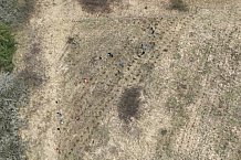 Eishockey, Herren, DEL, Saison 2023-2024, ERC Ingolstadt - Baumpflanzaktion, 03.03.2024