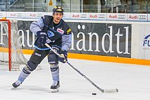 ERC Ingolstadt - Duesseldorfer EG, Eishockey, DEL, Deutsche Eishockey Liga, Spieltag 50, 21.02.2017