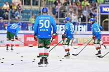 Eishockey, Herren, DEL, Saison 2024-2025, Spieltag 15, ERC Ingolstadt - Augsburger Panther, 03.11.2024