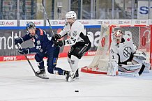 Eishockey, Herren, DEL, Saison 2024-2025, Spieltag 19, ERC Ingolstadt - Grizzlys Wolfsburg, 24.11.2024