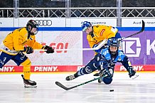 Eishockey, Frauen, DFEL, Saison 2025-2026, Testspiel, ERC Ingolstadt - HC Davos, 14.02.2026