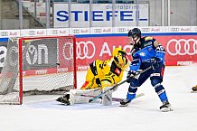 Eishockey, U20, DNL, Saison 2024-2025, ERC Ingolstadt - Krefelder EV 81, 01.03.2025