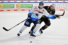 Eishockey, Herren, DEL, Saison 2024-2025, Playoffs Viertelfinale, Spiel 1, Nürnberg Ice Tigers - ERC Ingolstadt, 18.03.2025