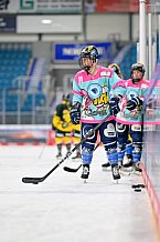 Eishockey, Frauen, DFEL, Saison 2023-2024, ERC Ingolstadt - Mad Dogs Mannheim, 18.02.2024