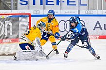 Eishockey, Frauen, DFEL, Saison 2025-2026, Testspiel, ERC Ingolstadt - HC Davos, 14.02.2026