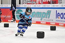 Eishockey, Herren, DEL, Saison 2022-2023, ERC Ingolstadt - Kids On Ice Day, 14.01.2023