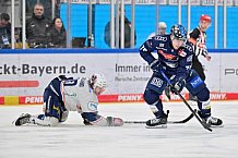 Eishockey, Herren, DEL, Saison 2024-2025, Spieltag 45, ERC Ingolstadt - Iserlohn Roosters, 16.02.2025