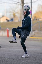 Eishockey, Herren, DEL, Saison 2024-2025, Playoffs Viertelfinale, Spiel 3, ERC Ingolstadt - Nürnberg Ice Tigers, 21.03.2025