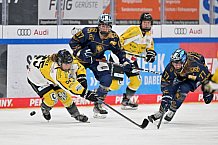 Eishockey, Frauen, DFEL, Saison 2022-2023, ERC Ingolstadt - Mad Dogs Mannheim, 19.11.2022