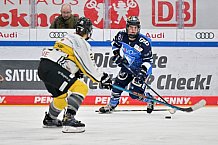 Eishockey, Frauen, DFEL, Saison 2023-2024, ERC Ingolstadt - Mad Dogs Mannheim, 18.02.2024