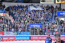 Eishockey, Herren, DEL, Saison 2023-2024, Spieltag 20, ERC Ingolstadt - Adler Mannheim, 19.11.2023