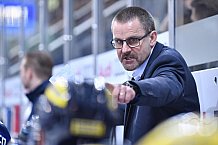 ERC Ingolstadt vs Adler Mannheim, Eishockey, DEL, Deutsche Eishockey Liga, Spieltag 46, 10.02.2017