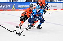 Eishockey, Herren, DEL, Saison 2025-2026, Spiel 33, ERC Ingolstadt - Grizzlys Wolfsburg, 28.12.2025